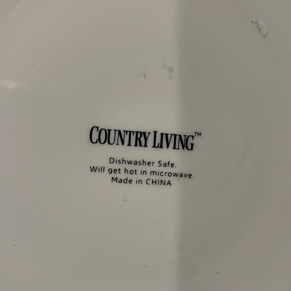 Country Living White with Red Trim Chicken and Chicks 11” Plate Hens and Chicks - Picture 6 of 8